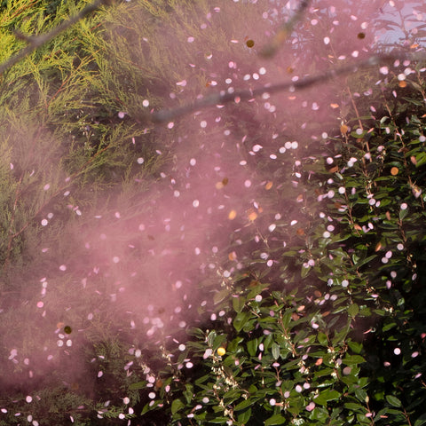 Rook Kanon met Confetti -Roze